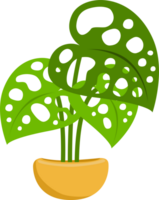 Ornament Kaktus zum schmücken Zuhause Garten einfach Design png