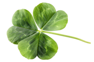 AI generated Green clover leaf isolated on transparent. St Patricks Day symbol png