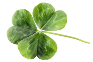 ai generiert Grün Kleeblatt Blatt isoliert auf transparent. st Patricks Tag Symbol png