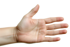 AI generated Human Hand opened Isolated On Transparent Background With Clipping Path png