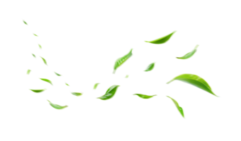 Green Floating Leaves Flying Leaves Green Leaf Dancing on transparent background png file