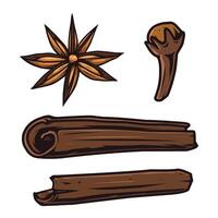 Cinnamon, cloves, star anise vector design