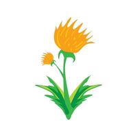 Yellow Thistle Flower Vector Illustration