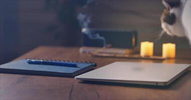 Home Office. On the table is a laptop, a music speaker, a blue notebook, and an incense stick. White cat in the frame video