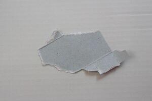 Isolated ripped paper piece. Torn blank paper with edges. photo