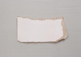 Isolated ripped paper piece. Torn blank paper with edges. photo