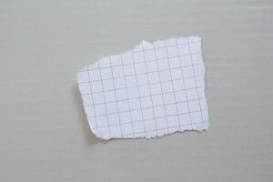 aislado rasgado papel pedazo. Rasgado blanco papel con bordes foto