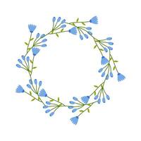 Floral round frame, ornament, spring blue cornflower. On white isolated background. For your postcard design, invitations, congratulations vector