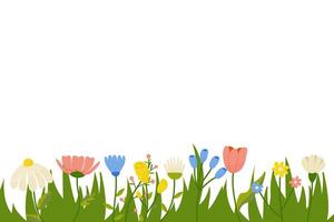 Horizontal botanical background with a set of spring summer flowers. Floral flat vector illustration isolated on white background