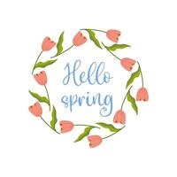 Hello spring, pink background, frame with tulips white isolated background. vector illustration