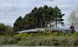 Dublin - Sandymount playground, row of trees and blue fence photo