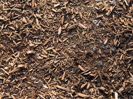 Tree chips, mulch and pebbles on the ground textures photo