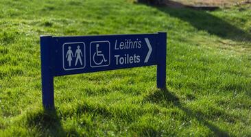 Blue toilet sign in the green grass photo