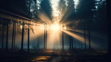 ai generado amanecer esclarecedor brumoso bosque con ligero rayos foto