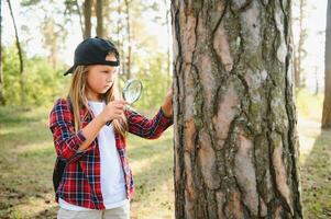 posterior ver imagen de linda pequeño niña explorador el naturaleza con aumentador vaso exterior. niño jugando en el bosque con aumentador vaso. foto