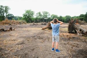 the concept of nature protection. Deforestation. photo