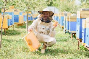 Beekeeper is working with bees and beehives on the apiary. Beekeeping concept photo