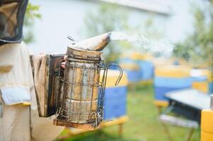 un herramientas de el apicultor. todo para un apicultor a trabajo con abejas. fumador, un cincel, un caja, apicultor traje para proteccion desde el abejas, equipo para apicultura, apicultura concepto foto