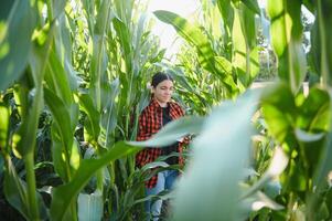 Young female farmer working in the field and checking plants, agriculture and healthy living concept photo