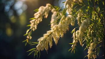 AI generated fluffy willow branch in nature photo