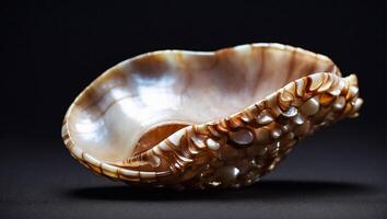 AI generated Gorgeous golden seashell on dark background photo