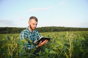 Young agronomist holds tablet touch pad computer in the soy field and examining crops before harvesting. Agribusiness concept. agricultural engineer standing in a soy field with a tablet in summer. photo