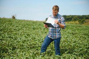 agrónomo inspeccionando soja frijol cultivos creciente en el granja campo. agricultura producción concepto. joven agrónomo examina haba de soja cosecha en campo en verano. granjero en haba de soja campo. foto