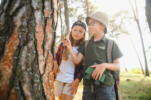 niños exploradores en el bosque. foto