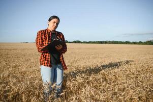 un mujer granjero examina el campo de cereales y envía datos a el nube desde el tableta. inteligente agricultura y digital agricultura foto