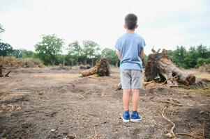 deforestation A sad boy stands in the middle of a cut forest. photo