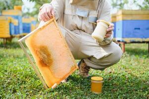 Beekeeper is working with bees and beehives on apiary. Bees on honeycomb. Frames of bee hive. Beekeeping. Honey. Healthy food. Natural products. photo