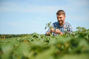 Young farmer in soybean fields photo