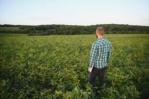 Agronomist inspects soybean crop in agricultural field - Agro concept - farmer in soybean plantation on farm photo