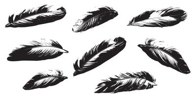 Feather silhouettes isolated on white background vector