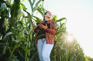 Young female farmer working in the field and checking plants, agriculture and healthy living concept photo