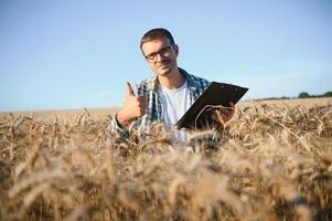 Young agronomist in grain field. Cereal farming photo