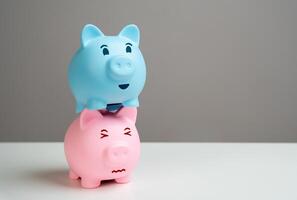 The blue piggy bank financially exploits the pink one. The concept of an unhealthy relationship between a couple where the partner is unemployed or infringes on the rights of the partner. photo