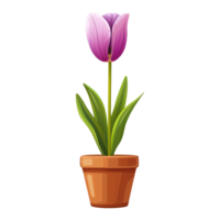 AI generated Tulip flowers in pots isolated on transparent background png