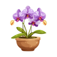 AI generated orchids flower illustration in pots on transparent background png