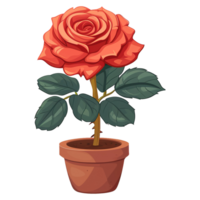 AI generated rose flower in pot isolated on a transparent background png