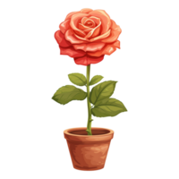 AI generated Rose flowers illustration in pots isolated on transparent background png