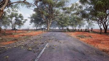 An empty road surrounded by trees in the middle of nowhere video