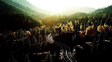 An empty road winding through a beautiful forest at sunset video