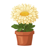AI generated illustration of chrysanthemum flowers isolated on transparent background png