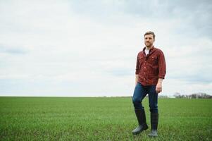 Young farmer stands in the green field checking and waiting for harvest to grow. photo