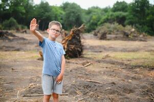 the concept of nature protection. Deforestation. photo