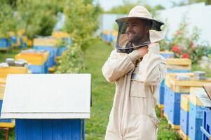 Beekeeping, beekeeper at work, bees in flight. photo