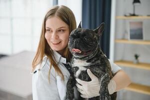 French Bulldog in a veterinary clinic. Veterinary medicine concept. photo