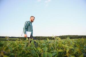 Agronomist inspects soybean crop in agricultural field - Agro concept - farmer in soybean plantation on farm photo