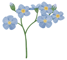 mano dibujar olvidar yo no, azul flor png